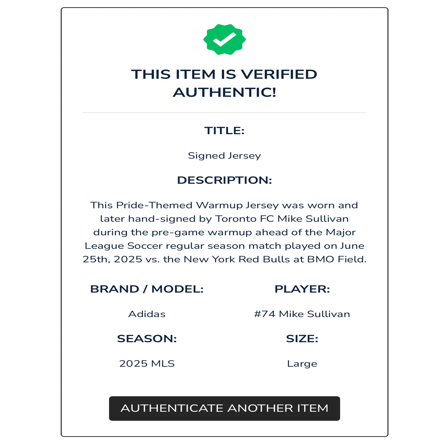 Mike Sullivan Autographed & Player-Worn 2025 Toronto FC Adidas Pride Jersey