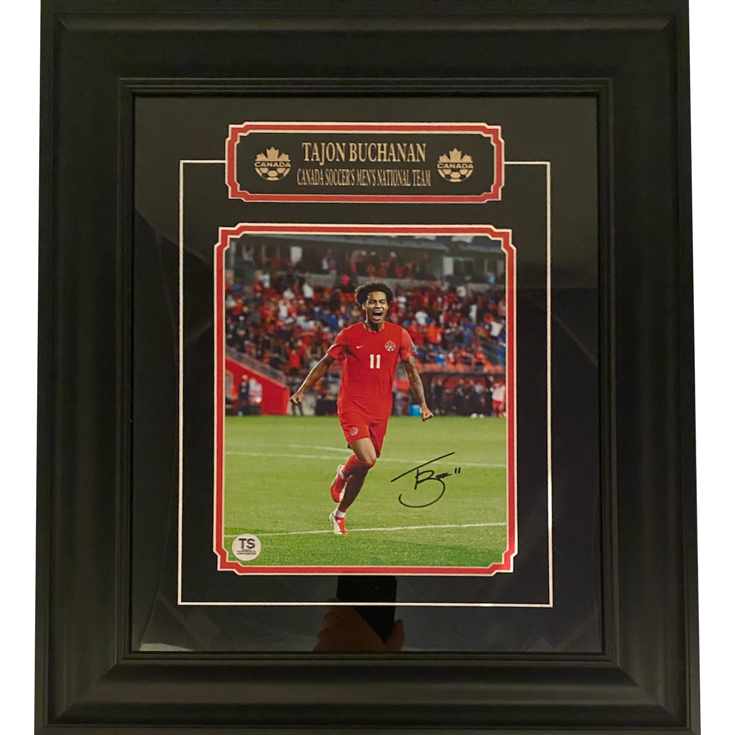 Tajon Buchanan Autographed Canada Men's National Team Celebration 8x10 Framed