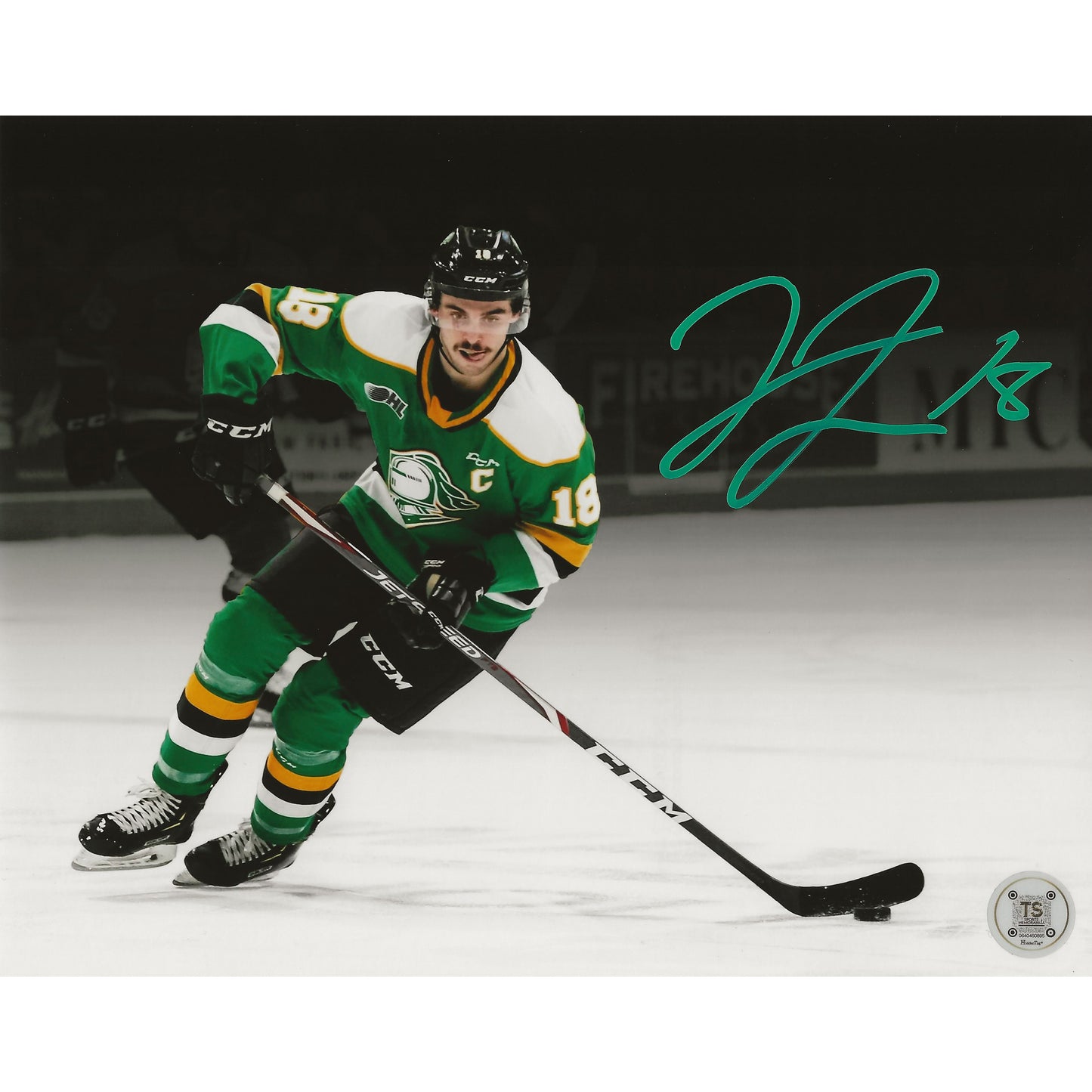Liam Foudy Autographed London Knights Spotlight 8x10 Photo
