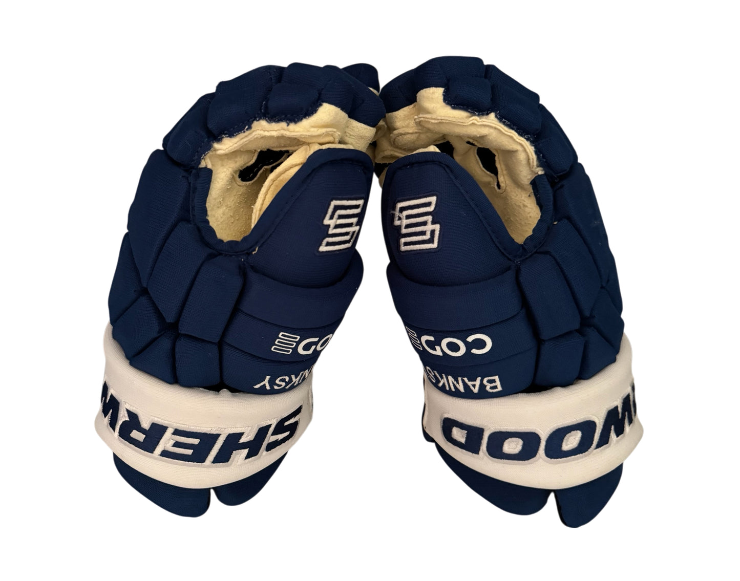 William Nylander Game-Used 2024-25 Sherwood CODE Encrypt Gloves