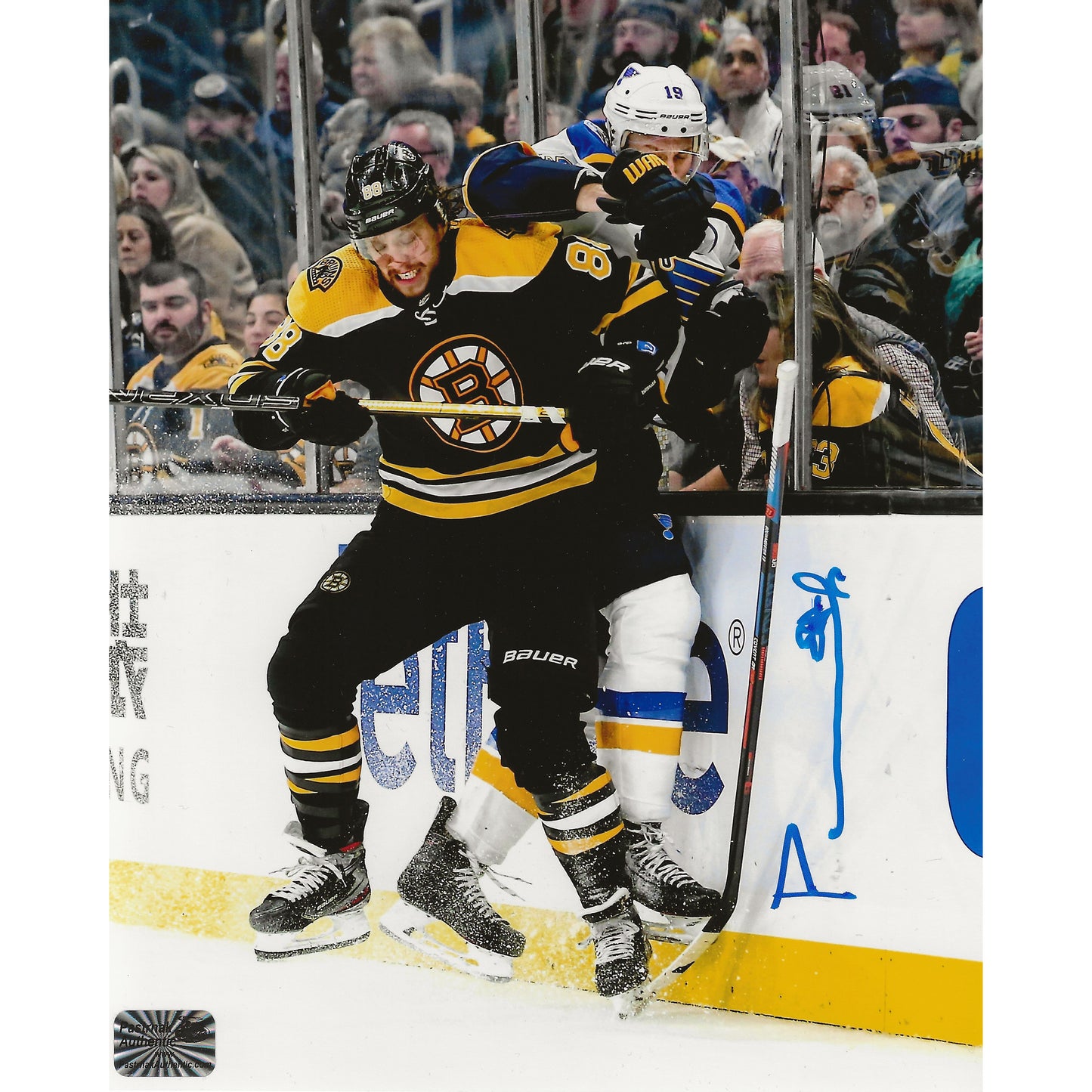 David Pastrnak Autographed Boston Bruins Body Check Against Boards 8x10 Photo